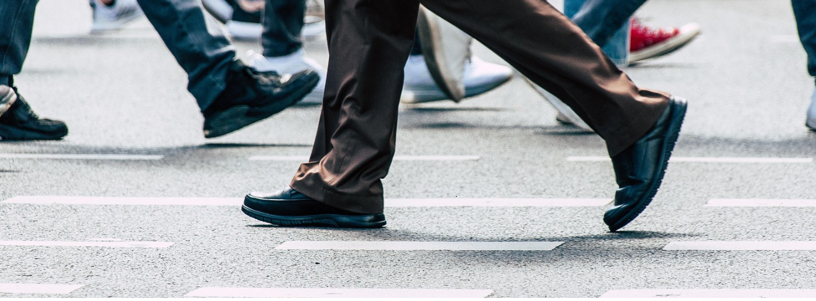 “Attraverso il PRISMA. Migrazioni, Territori e Servizi”: il convegno finale di presentazione della ricerca