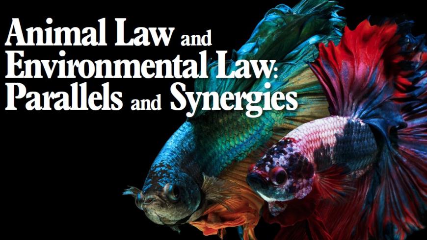 Animal Law and Environment Law