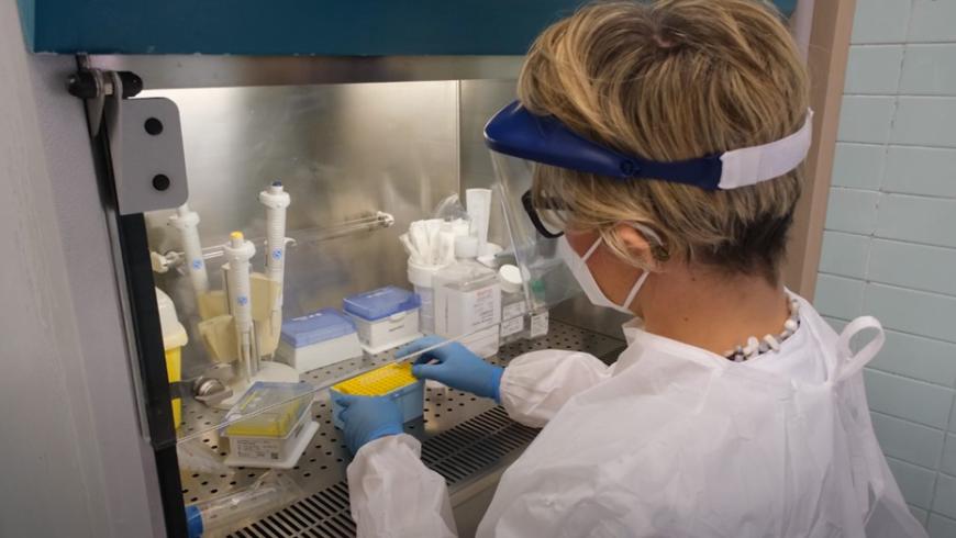 La dottoressa Valentina Pizzo