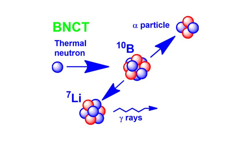 Boron Neutron Capture Therapy (BNCT)