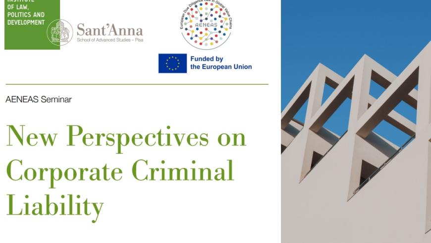 "New Perspectives on Corporate Criminal Liability